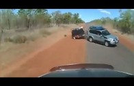 Driver wipes out truck he’s trying to swerve to avoid