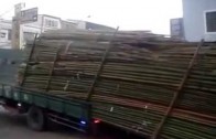 Amazing Truck Driver from India